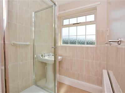 Picture 15